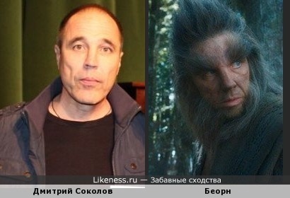 Дмитрий Соколов (Уральские пельмени) похож на Беорна (Хоббит. Пустошь Смауга)