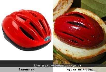 Велосипедный шлем напоминает мускатный орех