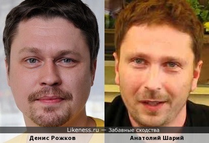 Анатолий Шарий похож на Дениса Рожкова