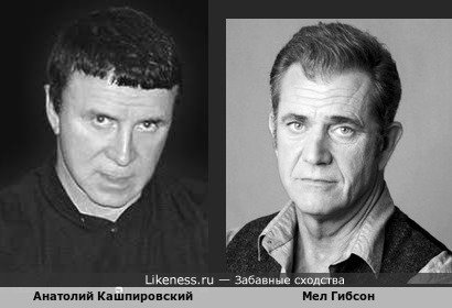 Анатолий Кашпировский похож на Мел Гибсона