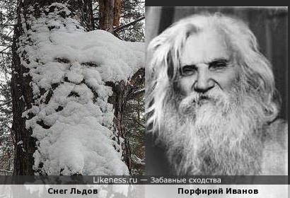Снег на дереве напоминает Порфирия Иванова