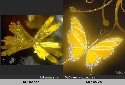Этот жёлтый минерал напоминает Бабочку из Страз Сваровски или История как Минерал,сев на пенёк,прикинулся бабочкой!