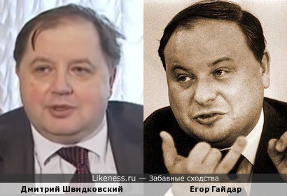 Дмитрий Швидковский похож на Егора Гайдара