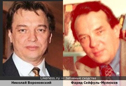 Николай Вороновский и арабист Фарид Сейфуль-Мулюков