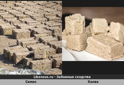 Кирпич-сырец и знаменитая сладость из султаната Оман