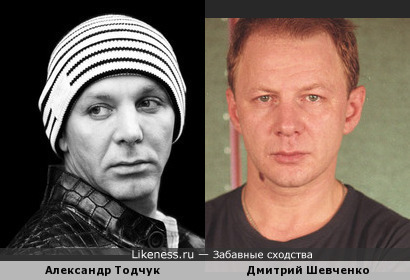 Александр Тодчук похож на Дмитрия Шевченко