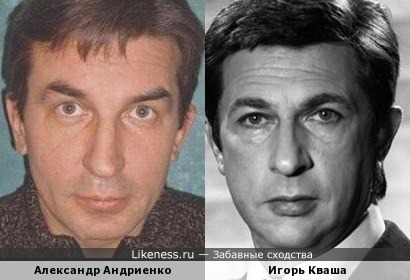Александр Андриенко и Игорь Кваша похожи