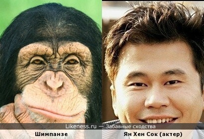 Актер Ян Хен Сок похож на обезьяну