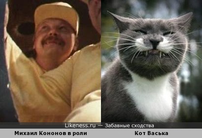 Кот Васька похож на актёра Михаила Кононова в роли (пират Крыс)