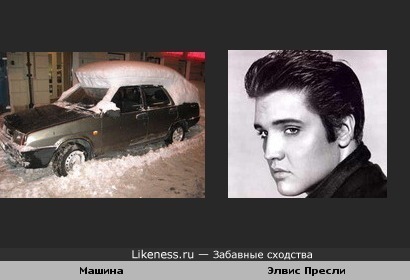 Снег на машине напомнил причёску Элвиса