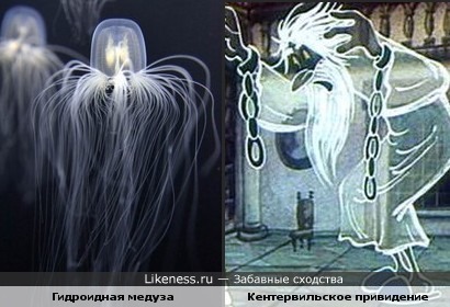 Медуза напоминает Кентервильское привидение
