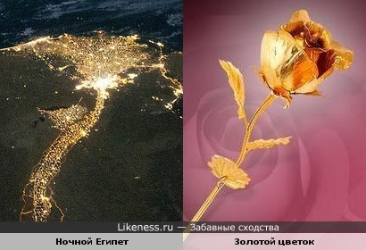 Ночной Египет похож на золотой цветок