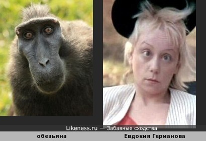 Актриса Евдокия Германова в кадре из фильма &quot; Ниагара&quot; напомнила обезьянку