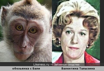Милая обезьянка с острова Бали немного напомнила великую актрису Валентину Талызину (в молодости )