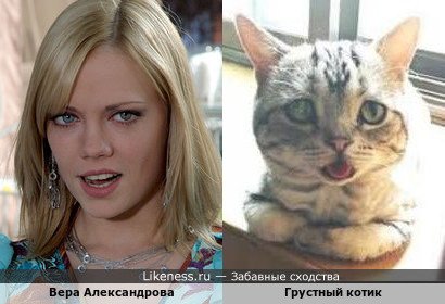 Вера Александрова похожа на Грустного Котика