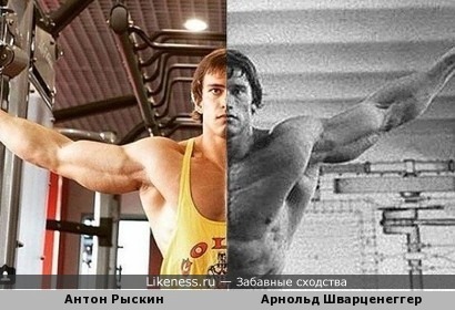 Антон Рыскин похож на Арнольда Шварценеггера (комбинированное сходство)
