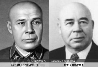 Семён Тимошенко и Пётр Шелест
