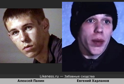 Алексей Панин и Евгений Харланов похожи
