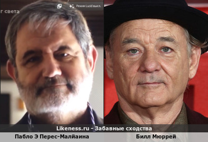 Пабло Э Перес-Малйаина похож на Билла Мюррей