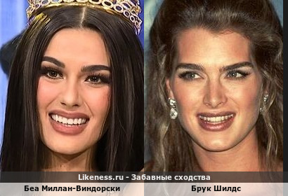 Беа Миллан-Виндорски похожа на Брук Шилдс
