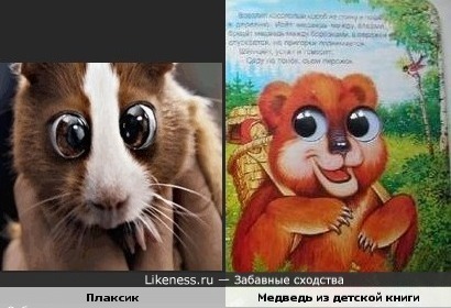 Мишка,который похож на Медведева,похож на Плаксика