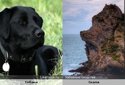 Скала в Италии похожа на грустную собаку