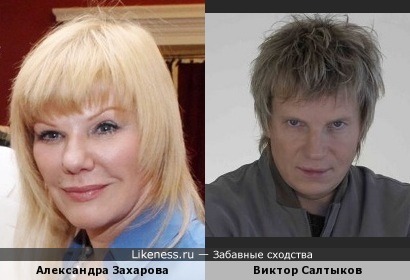 Александра Захарова похожа на Виктора Салтыкова