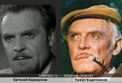 Евгений Карнаухов похож на Павла Кадочникова