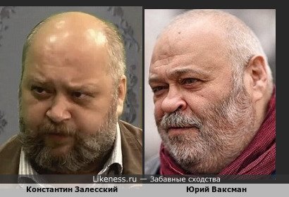 Константин Залесский похож на Юрия Ваксмана