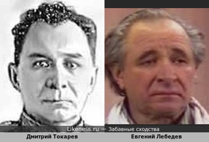 Дмитрий Токарев похож на Евгения Лебедева