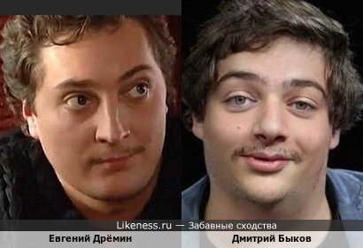 Евгений Дрёмин похож на Дмитрия Быкова
