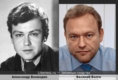 Александр Воеводин похож на Василия Волгу