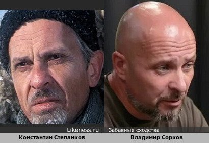 Константин Степанков похож на Владимира Соркова