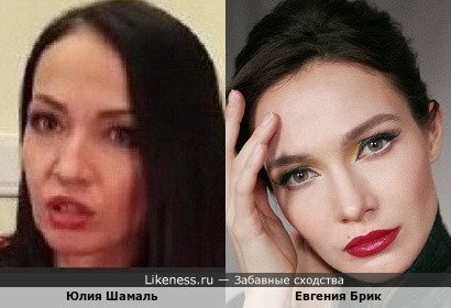 Юлия Шамаль похожа на Евгению Брик