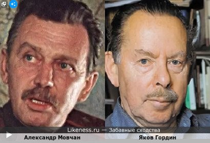 Александр Мовчан похож на Якова Гордина