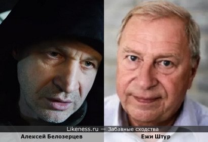 Алексей Белозерцев похож на Ежи Штура