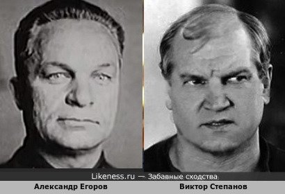 Александр Егоров похож на Виктора Степанова