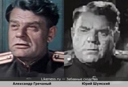 Александр Гречаный похож на Юрия Шумского