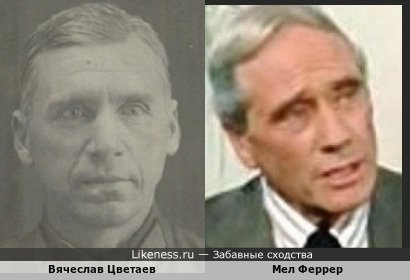 Вячеслав Цветаев похож на Мел Феррер