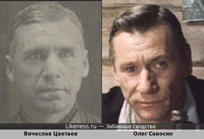 Вячеслав Цветаев похож на Олега Савосина