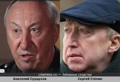Анатолий Сурцуков похож на Сергея Стёпина