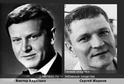 Виктор Авдюшко похож на Сергея Жаркова