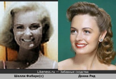 Шелли Фабаре(с) похожа на Донна Рид