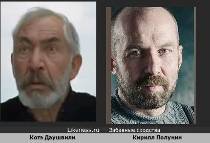 Котэ Даушвили похож на Кирилла Полунина
