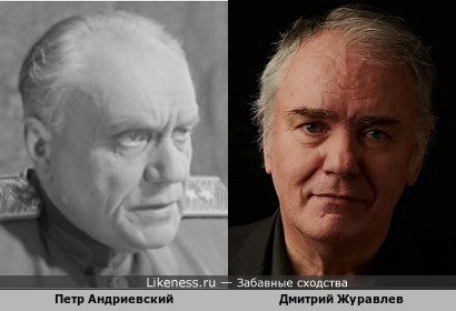Петр Андриевский похож на Дмитрия Журавлева