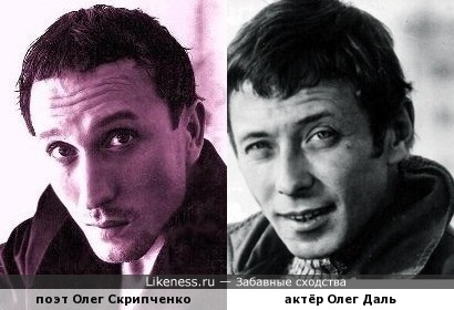 Олег Скрипченко похож на Даля