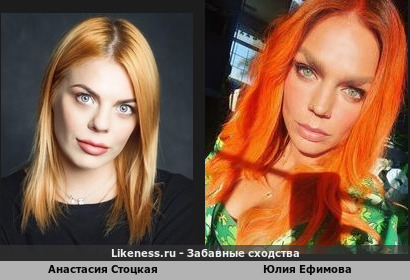 Анастасия Стоцкая похожа на Юлию Ефимову