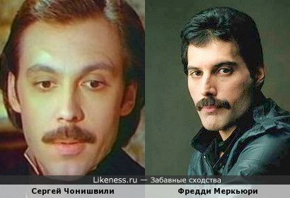 Сергей Чонишвили похож на Фредди Меркьюри