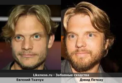 Евгений Ткачук похож на Дэвида Петкау