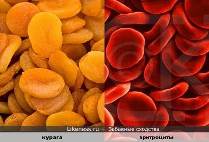 Клетки крови похожи на курагу
